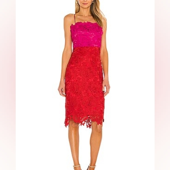 Milly Floral Lace Dress in Razzmatazz & Poppy ECU Sz 10 - Picture 1 of 7
